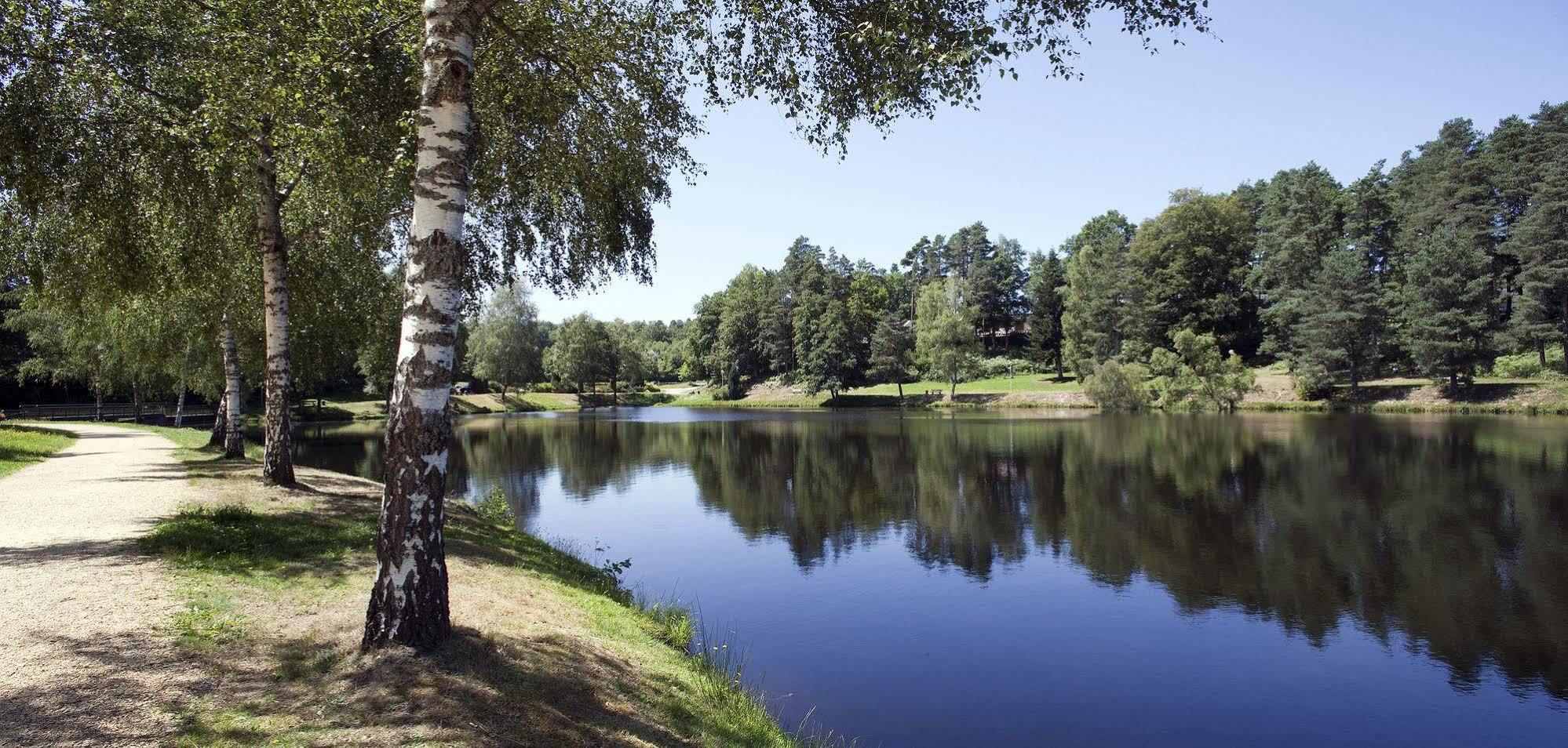 Vacanceole - Residence Le Domaine Du Bosquet Еґлетон Екстер'єр фото